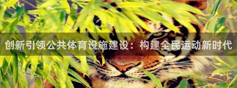 意昂4娱乐首页网站大全：创新引领公共体育设施建设：构