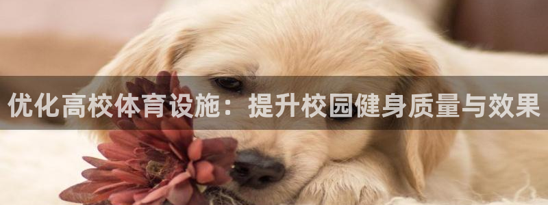 意昂4娱乐40996：优化高校体育设施：提升校园健身
