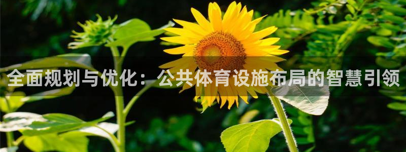 意昂4娱乐代理怎么样：全面规划与优化：公共体育设施布