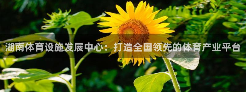 意昂4集团E.ON：湖南体育设施发展中心：打造全国领
