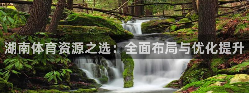 意昂4娱乐是那个系列的台子：湖南体育资源之选：全面布局与优化