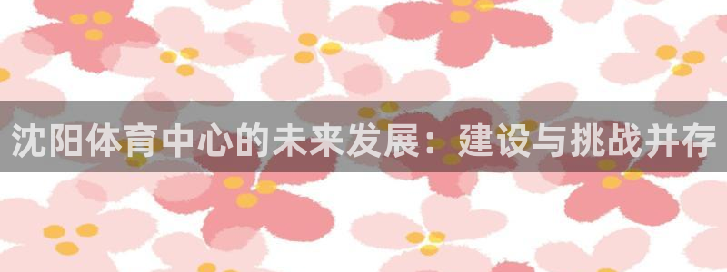 意昂体育4招商电话地址查询：沈阳体育中心的未来发展：建设与挑