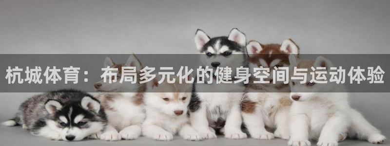 意昂平台体育：杭城体育：布局多元化的健身空间与运动体验