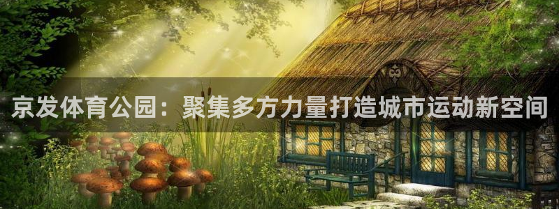 海南意昂体育4发展怎么样：京发体育公园：聚集多方力量
