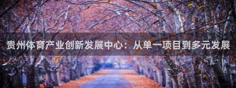 意昂体育4招商电话地址是多少：贵州体育产业创新发展中