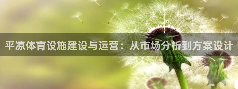意昂4集团官网网址：平凉体育设施建设与运营：从市场分