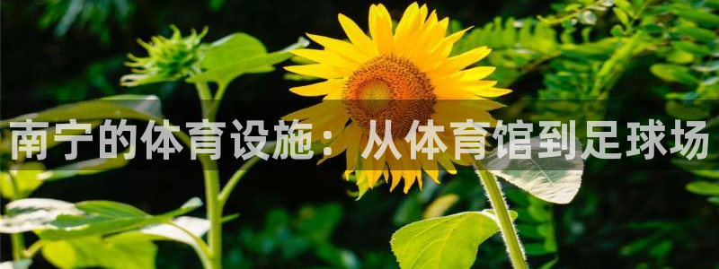 意昂4集团E.ON：南宁的体育设施：从体育馆到足球场