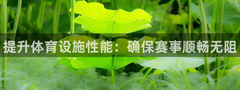 意昂体育4注册：提升体育设施性能：确保赛事顺畅无阻