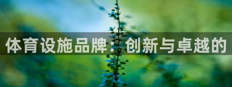 意昂体育4平台是正规平台吗安全吗：体育设施品牌：创新