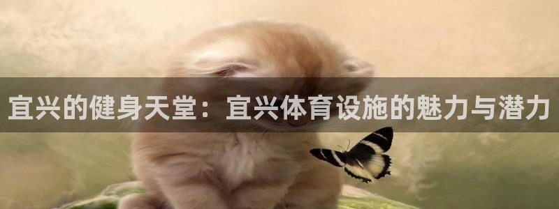 意昂4开户：宜兴的健身天堂：宜兴体育设施的魅力与潜力