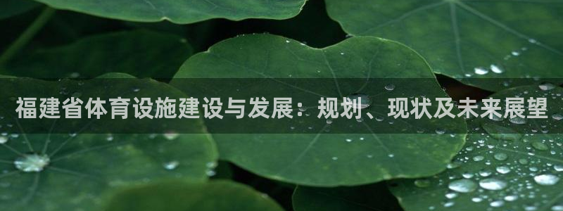 德国意昂4集团：福建省体育设施建设与发展：规划、现状