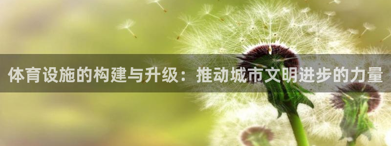 意昂4官网：体育设施的构建与升级：推动城市文明进步的