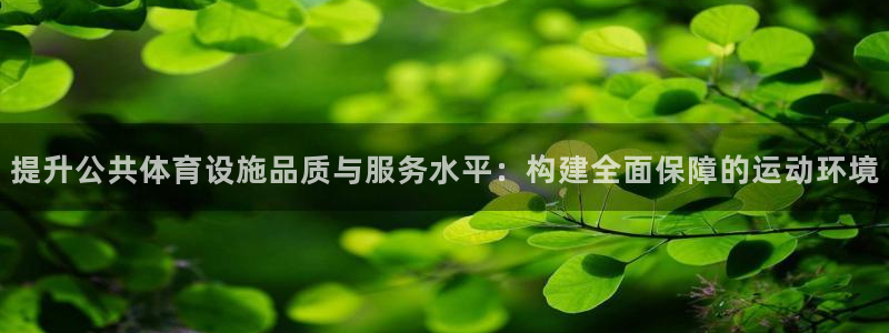 意昂4新能源：提升公共体育设施品质与服务水平：构建全