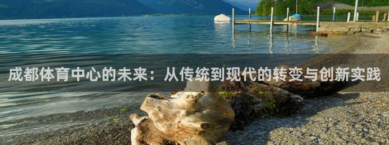 意昂体育4招商电话地址：成都体育中心的未来：从传统到