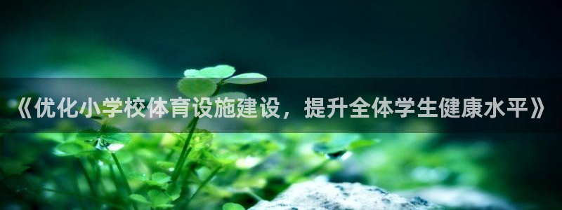 意昂4集团官网首页：《优化小学校体育设施建设，提升全