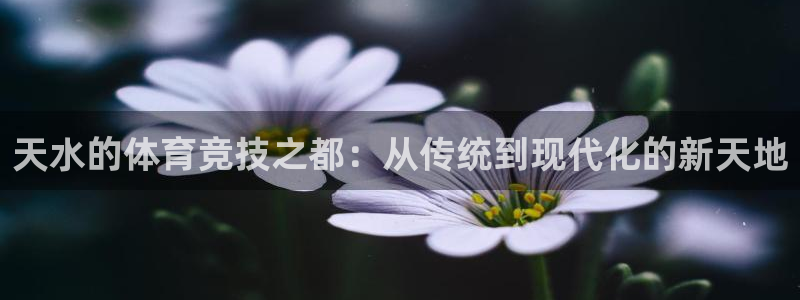 德国意昂4集团