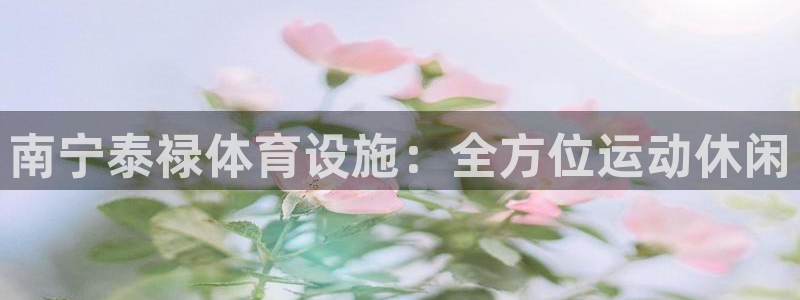 意昂4娱乐是那个系列的台子