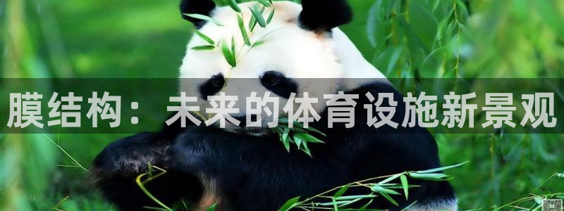 意昂体育4软件