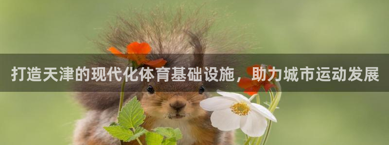 意昂平台体育：打造天津的现代化体育基础设施，助力城市