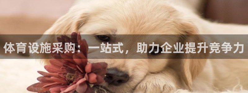意昂4集团官网网址：体育设施采购：一站式，助力企业提