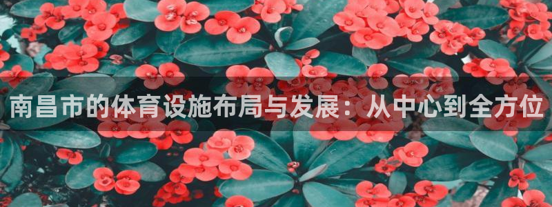 意昂体育4招商电话号码是多少啊：南昌市的体育设施布局与发展：