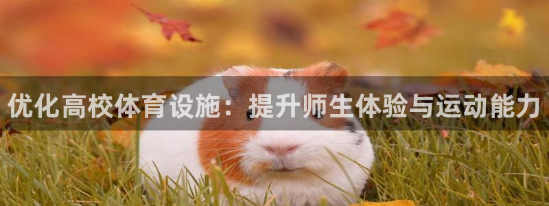意昂体育4招商电话：优化高校体育设施：提升师生体验与运动能力