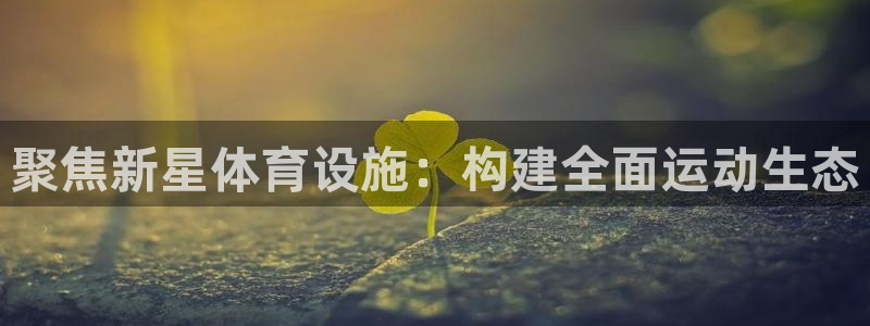 意昂4官方：聚焦新星体育设施：构建全面运动生态