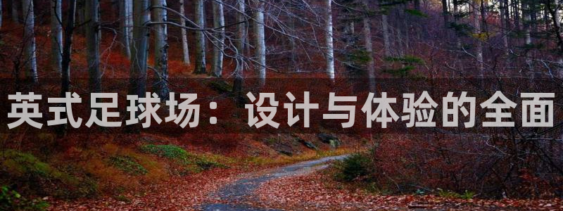 意昂体育4平台是正规平台吗安全吗：英式足球场：设计与体验的全