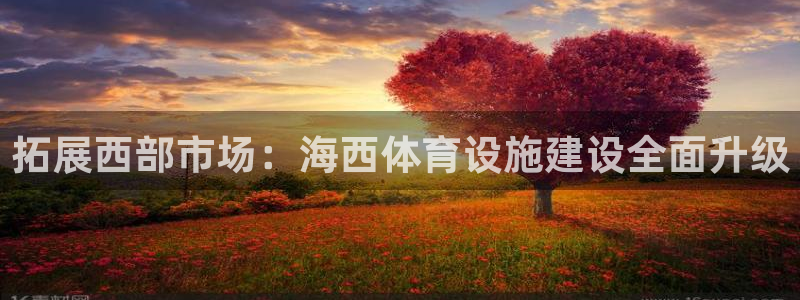 意昂体育4招商电话：拓展西部市场：海西体育设施建设全