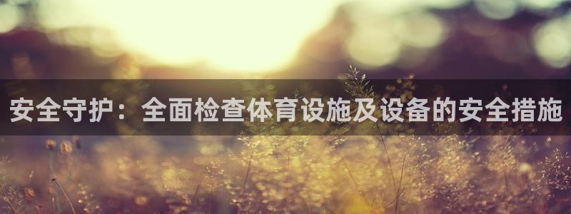 意昂体育4平台注册流程图：安全守护：全面检查体育设施