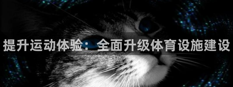 意昂体育4是干嘛的公司：提升运动体验：全面升级体育设