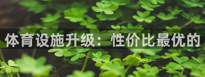 德国意昂4集团：体育设施升级：性价比最优的 