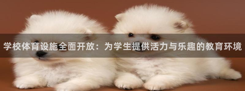 意昂4娱乐平台：学校体育设施全面开放：为学生提供活力