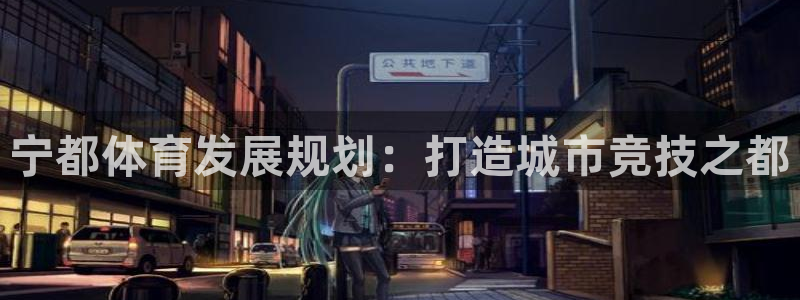 意昂体育4平台注册：宁都体育发展规划：打造城市竞技之