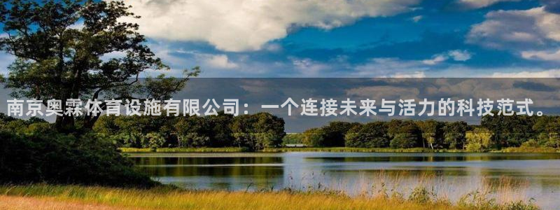 意昂体育4招商：南京奥霖体育设施有限公司：一个连接未