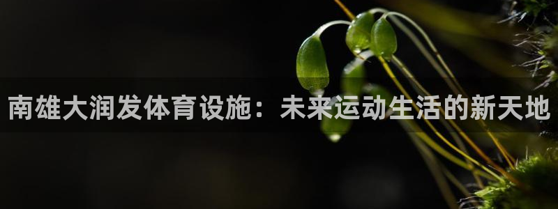 意昂4集团E.ON：南雄大润发体育设施：未来运动生活的新天地