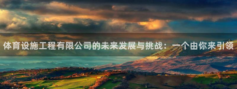 意昂4代理：体育设施工程有限公司的未来发展与挑战：一