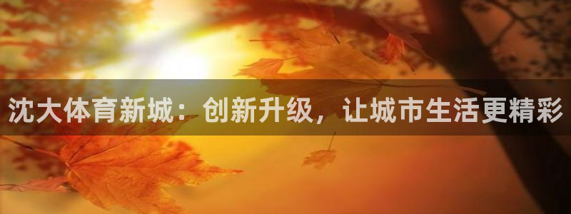 意昂体育4联系电话：沈大体育新城：创新升级，让城市生