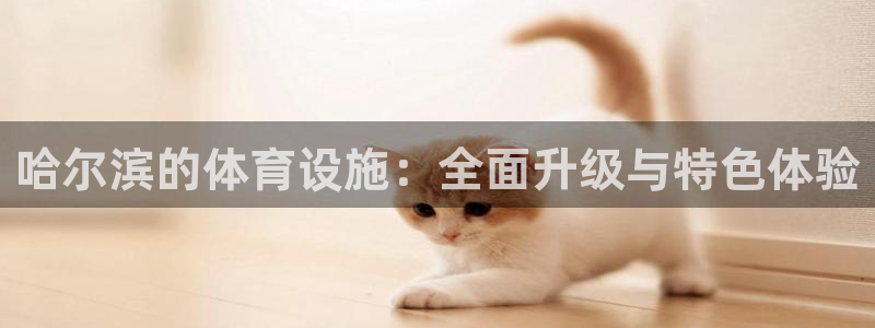 意昂体育4平台假的吗是真的吗：哈尔滨的体育设施：全面