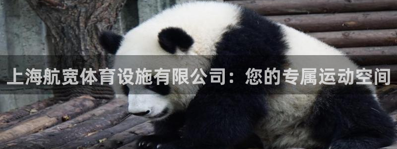 意昂体育4平台是正规平台吗安全吗：上海航宽体育设施有