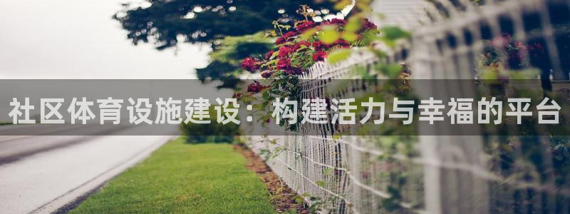 意昂体育4平台注册流程视频：社区体育设施建设：构建活