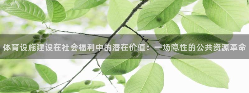 意昂体育4联系电话：体育设施建设在社会福利中的潜在价值：一场