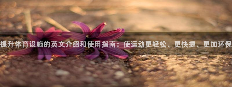 意昂4集团：提升体育设施的英文介绍和使用指南：使运动