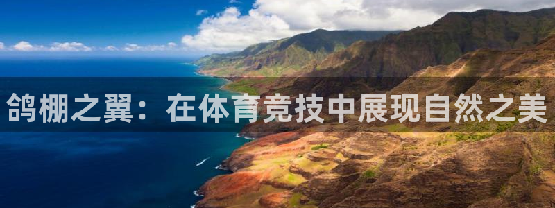 意昂体育4招商电话地址：鸽棚之翼：在体育竞技中展现自