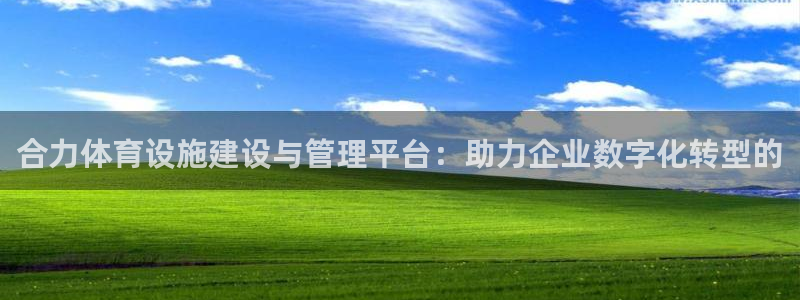 意昂体育4平台：合力体育设施建设与管理平台：助力企业