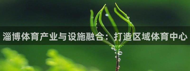 意昂4官网：淄博体育产业与设施融合：打造区域体育中心