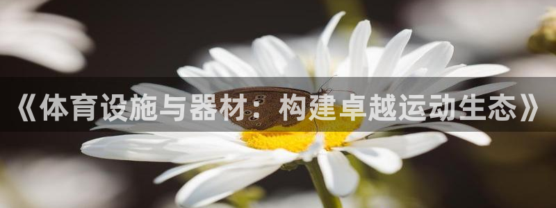 意昂体育4是干嘛的公司：《体育设施与器材：构建卓越运