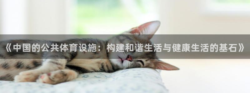 意昂4娱乐40996：《中国的公共体育设施：构建和谐