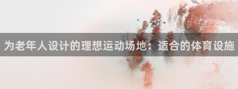 德国意昂4集团：为老年人设计的理想运动场地：适合的体