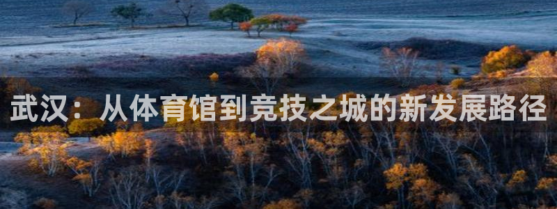 注册意昂4：武汉：从体育馆到竞技之城的新发展路径